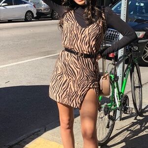 Zebra Print Dress